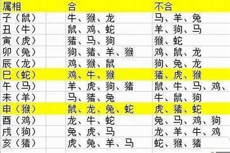 2022年哪个生肖适合生孩子