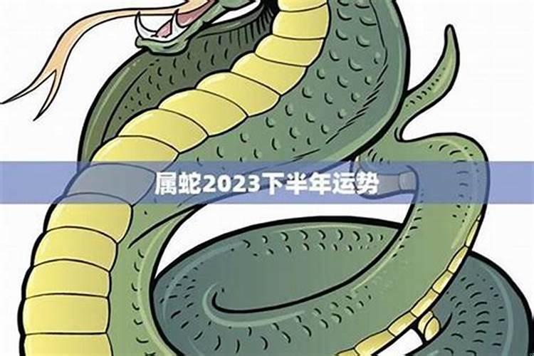 属蛇2021年下半年运势如何