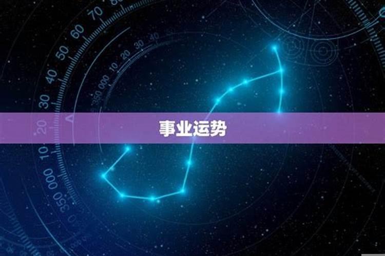 天蝎座的运势如何