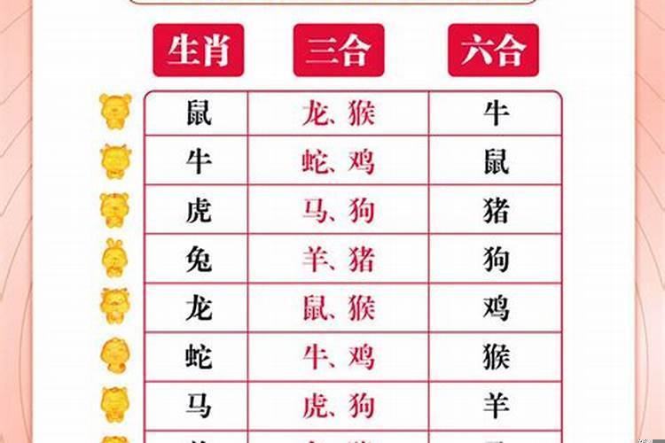 生肖三会局有利于家庭吗?