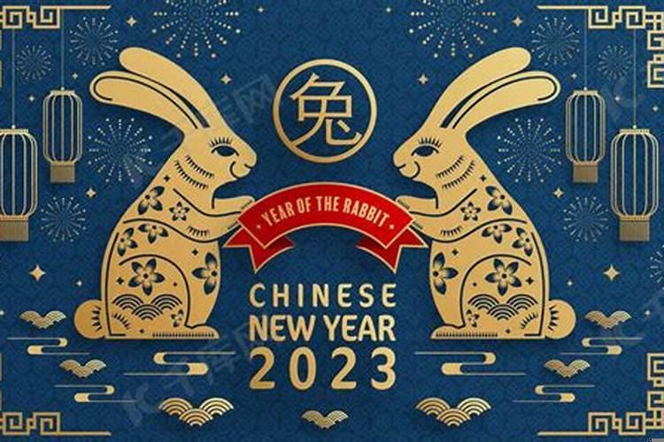 2025年属什么生肖兔是什么命