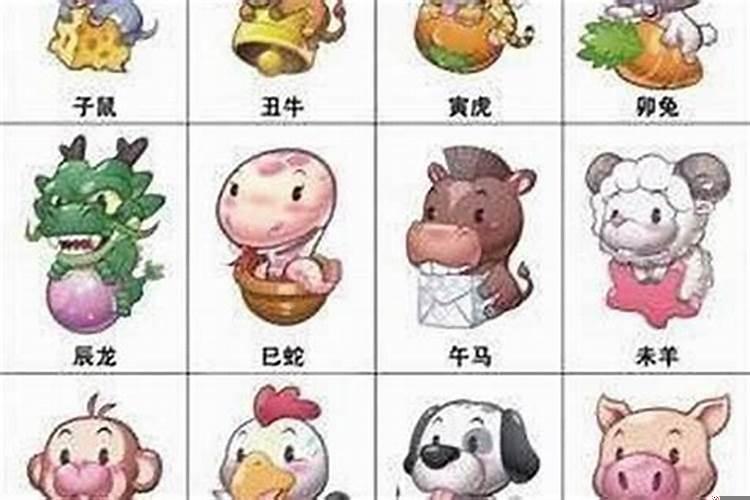 属龙的和什么相配?和什么属相相克