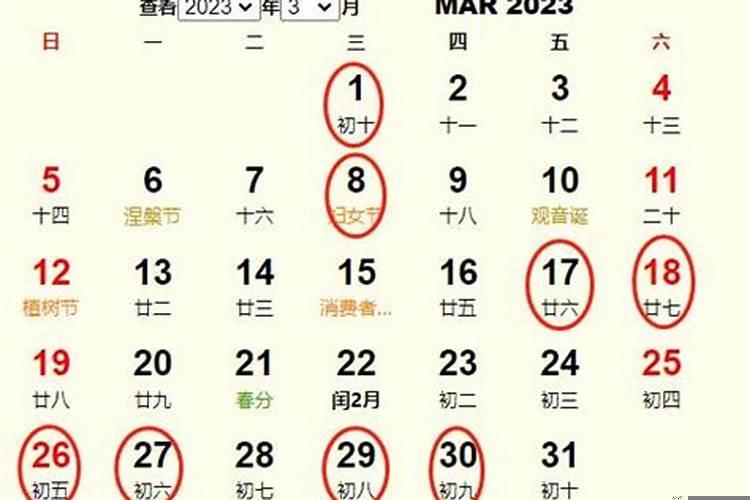 2025年3月最佳的搬家一览表