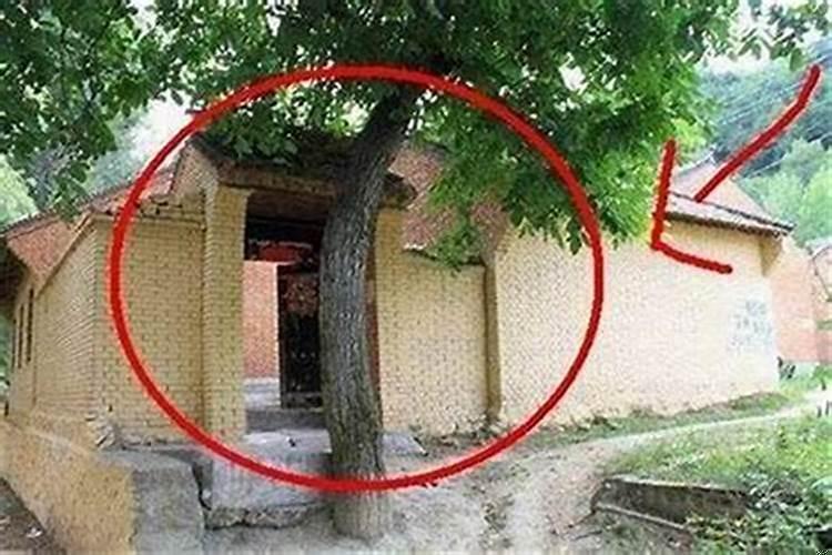 我要看住宅风水