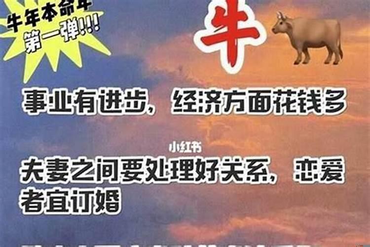 本命年病痛多
