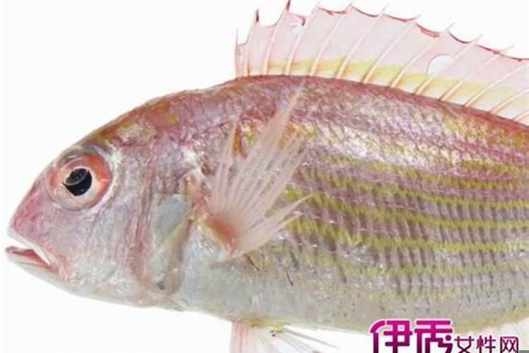 梦见家里来了一家三口