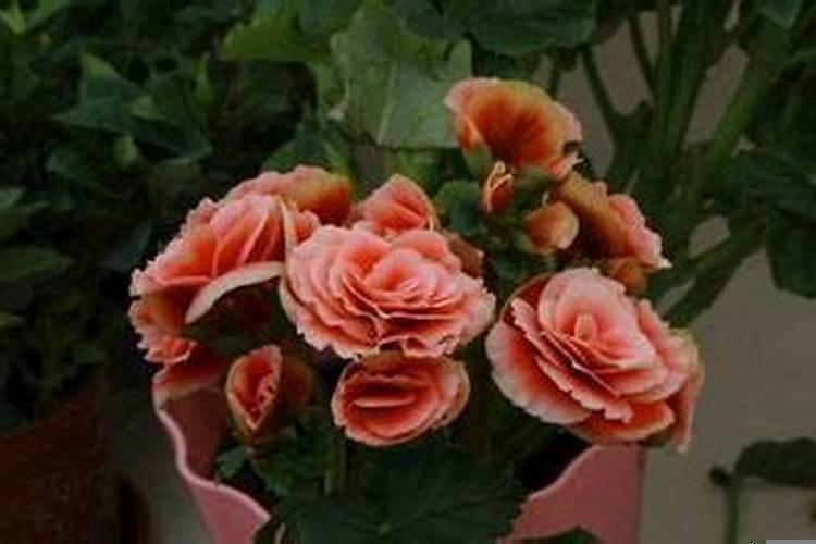 98年属虎结婚吉日