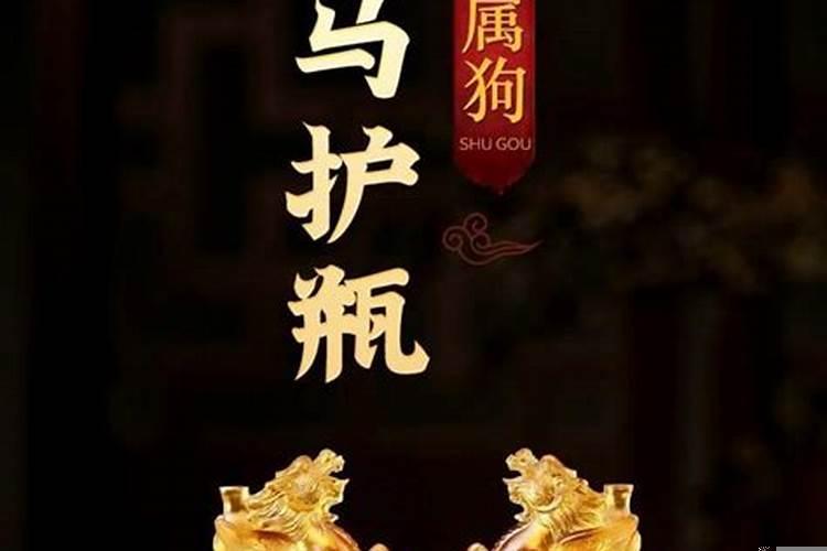 生肖狗每日运程