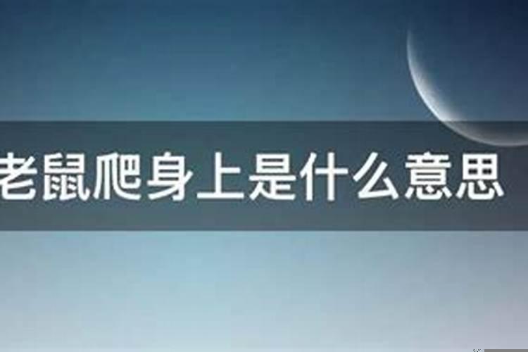 梦见很多老鼠往身上爬是怎么回事