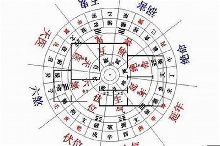 卧室里放什么植物好看
