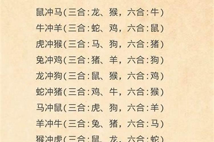 狗和什么属相是三合