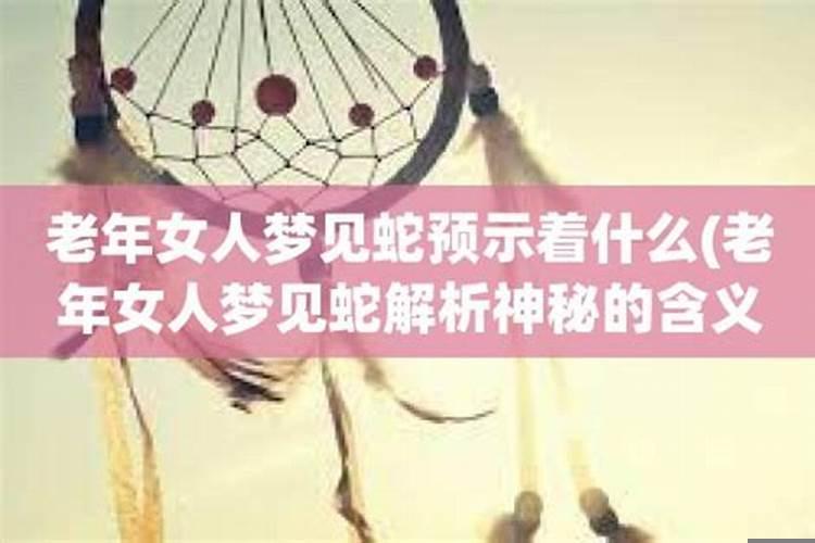 怀孕的人梦到饺子