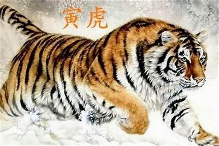 2021年是什么虎、什么命?