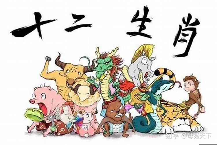 属相相冲怎么破