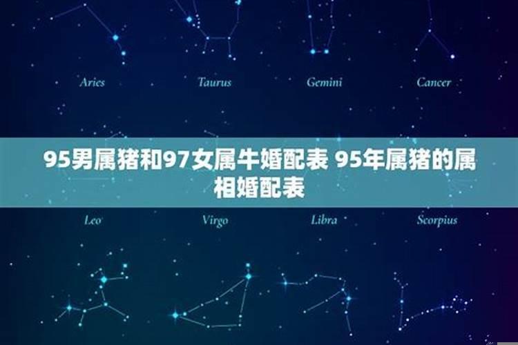 男95年猪和女97年牛婚配吗