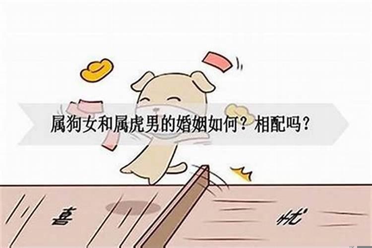 属狗女和属虎男生配吗