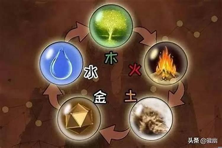 怎么看自己的属相金木水火土