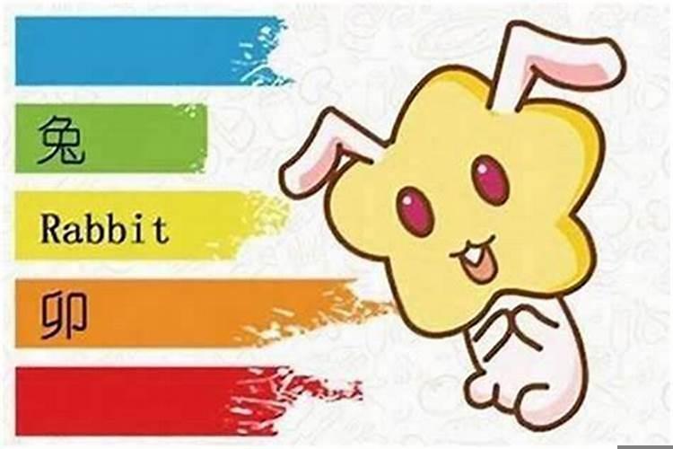 属兔天秤座聪明吗