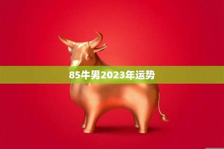 97年属牛2025年能结婚吗