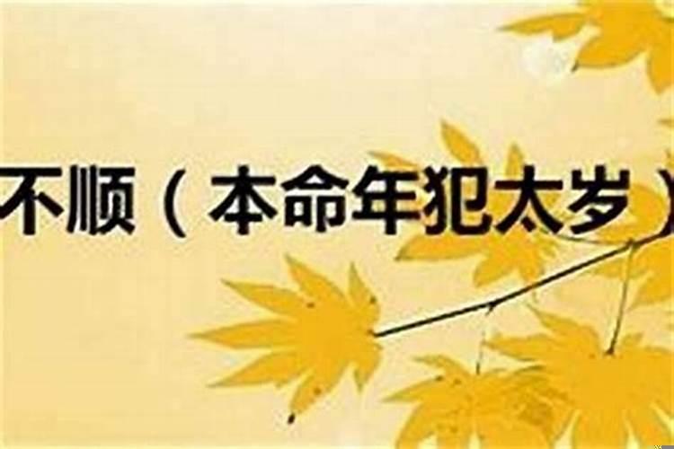 属鼠本命年身体怎么样