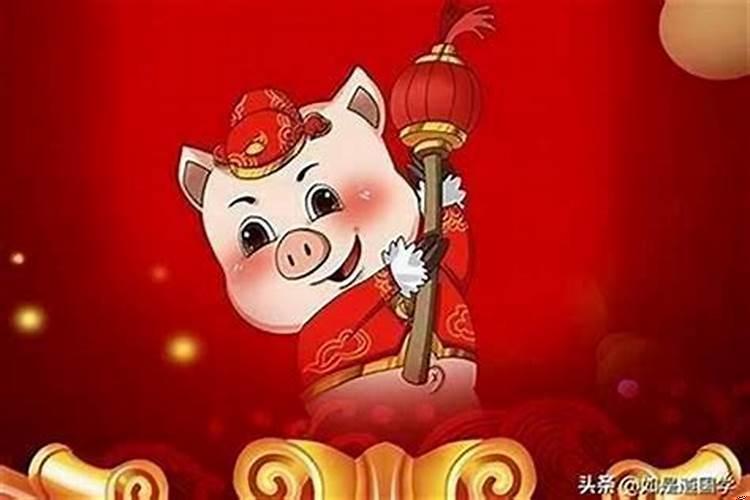 属猪人整体运势如何