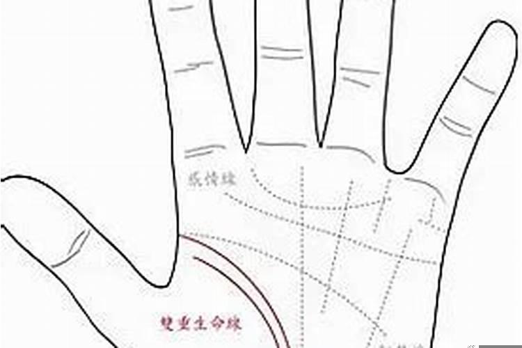 手掌上的贵人线