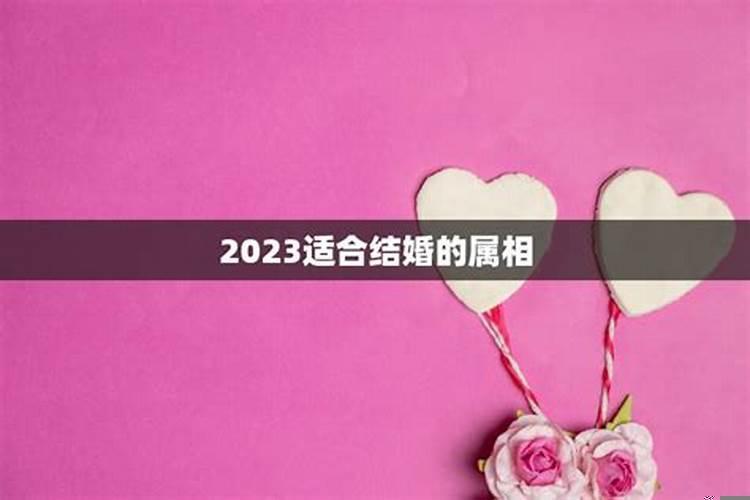 2019年适合婚嫁的属相