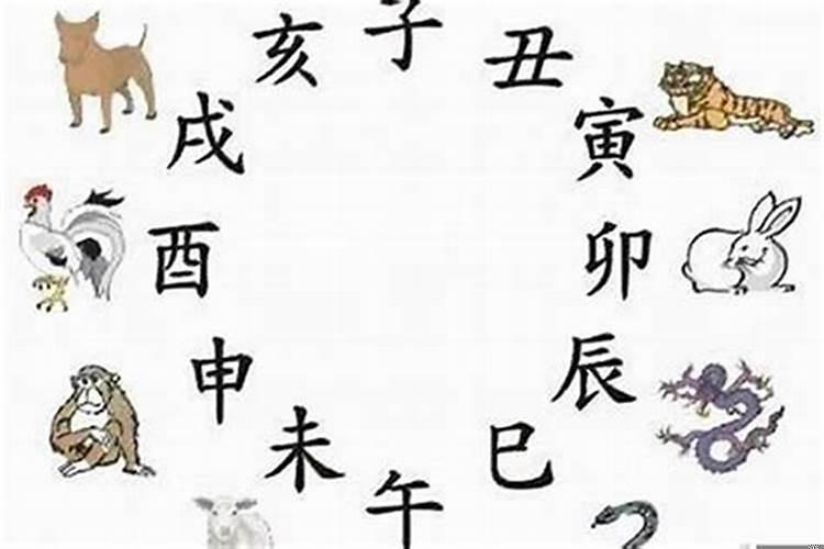 十二生肖今年每月运势如何