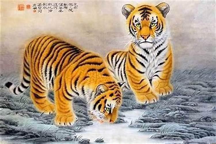 本命年的虎今年运势如何