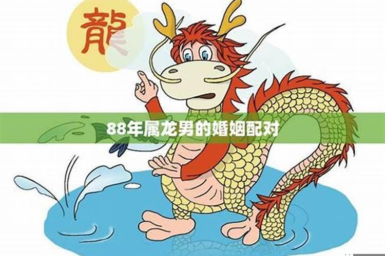 88年属龙男婚姻命运