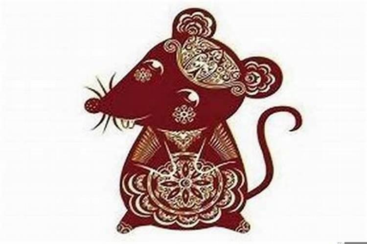 鼠年各个生肖运势