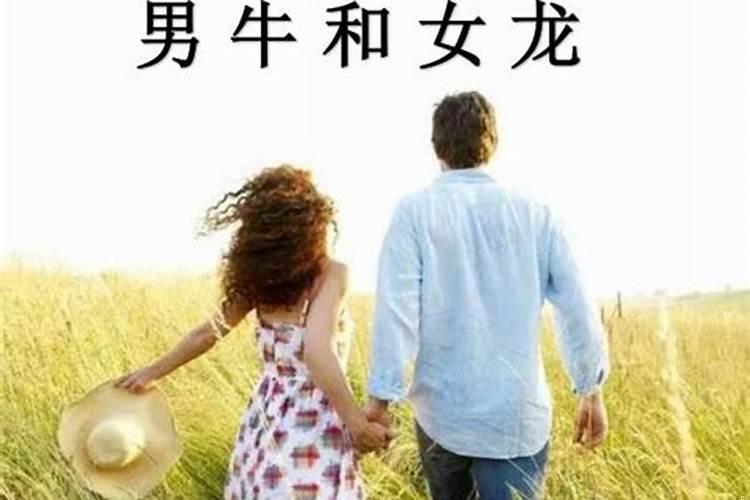 女属龙与男属牛相配吗