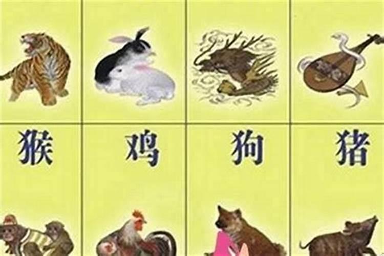 12生肖住几楼最旺