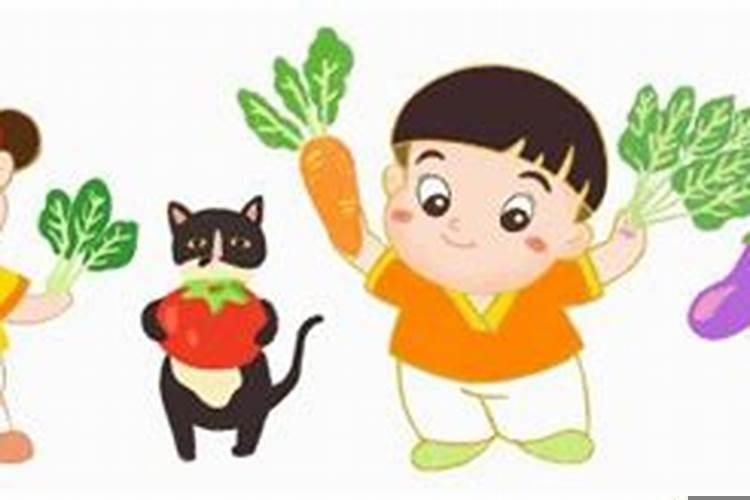 生肖鼠的幸运动物