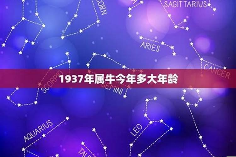 十二属相的口诀