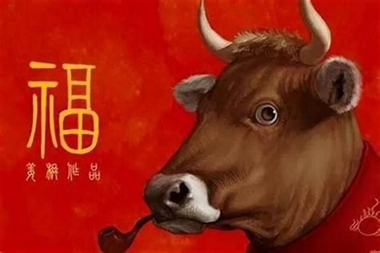 2025年财运最好的五大生肖