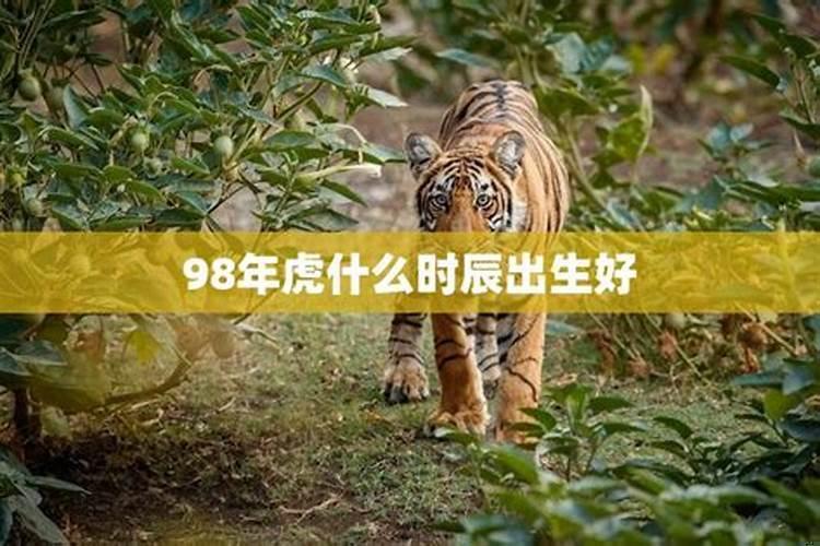 属虎什么时辰出生好不好