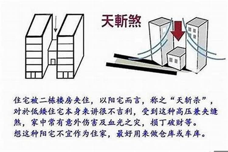 中国三大树
