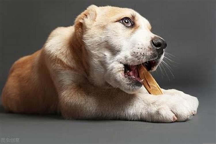 梦见老婆在哭喊