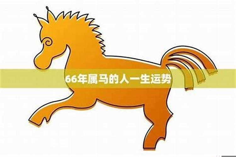 今年有财运的生肖