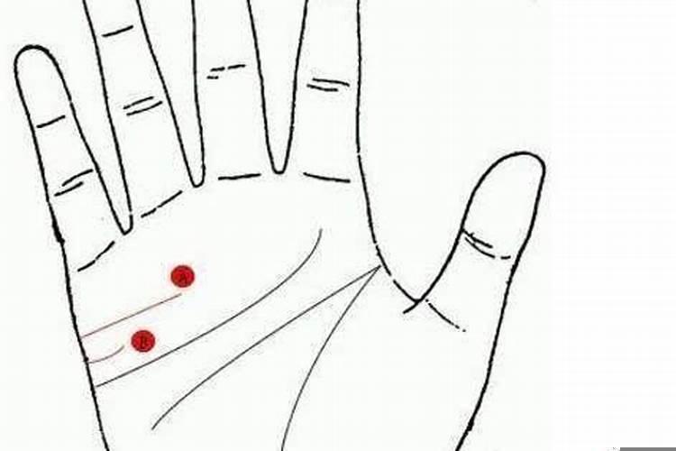 胆小怕事的生肖是牛吧