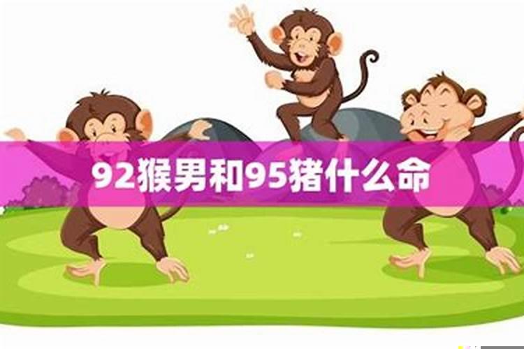92男猴95女猪婚配怎么破解