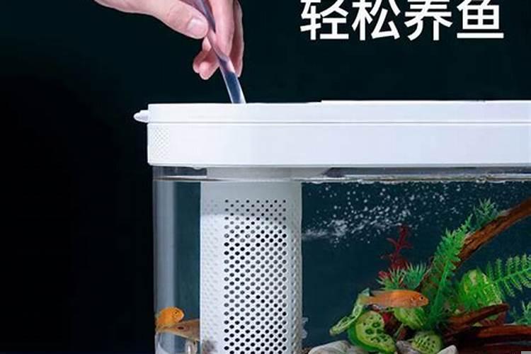 鱼缸灯放哪里最好