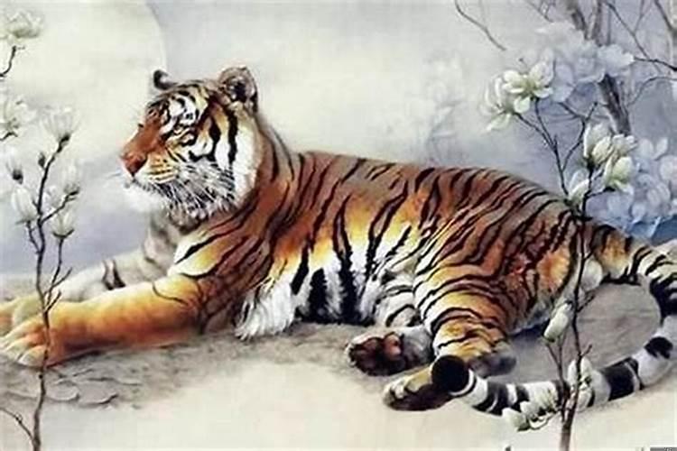 属虎生个属虎的宝宝好吗