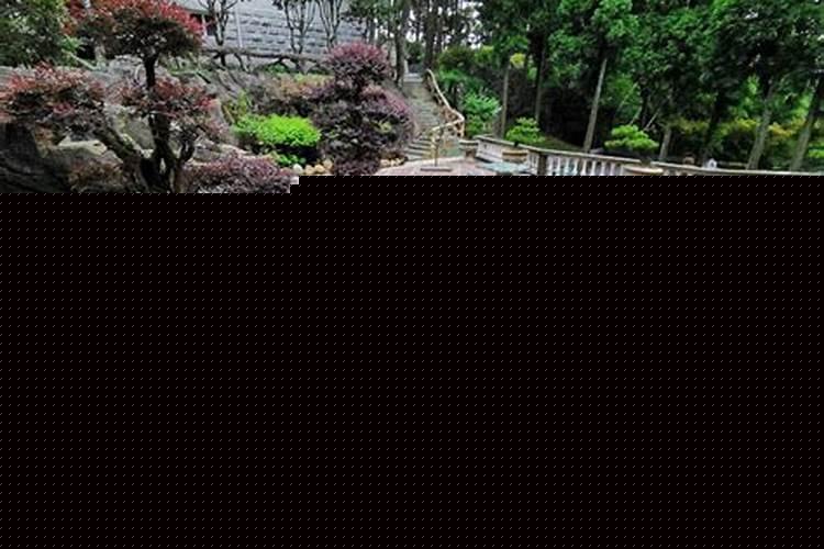 农村家里打井怎样看水脉