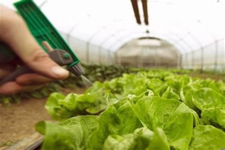 梦到和猫很亲近