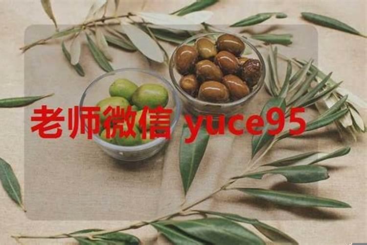 什么星座最招桃花运