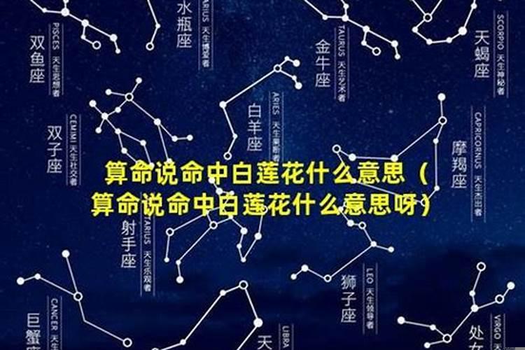 孕妇梦到孝白布