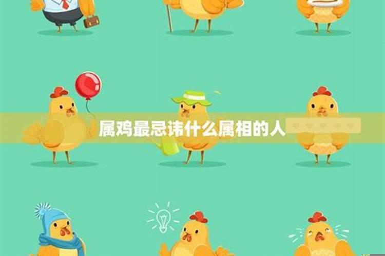 生肖鸡最忌讳