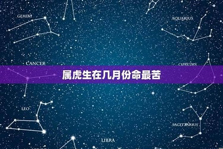 虎年每个月份出生的人的命运